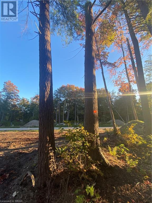 Listing 40373175 - Large Photo # 4
