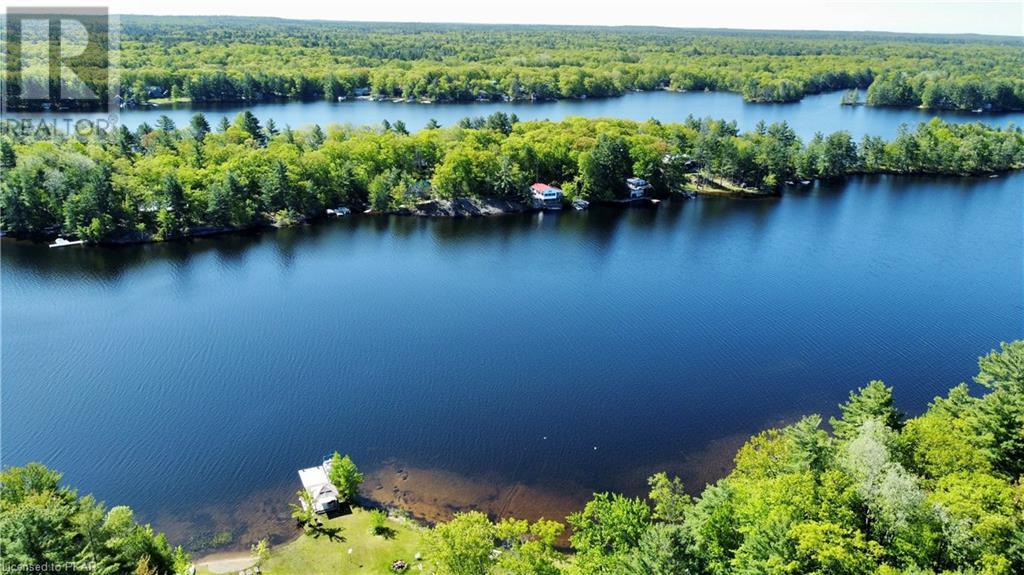 Listing 40373204 - Large Photo # 29