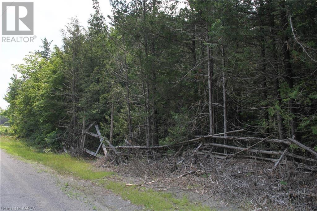 Listing 40373647 - Large Photo # 5