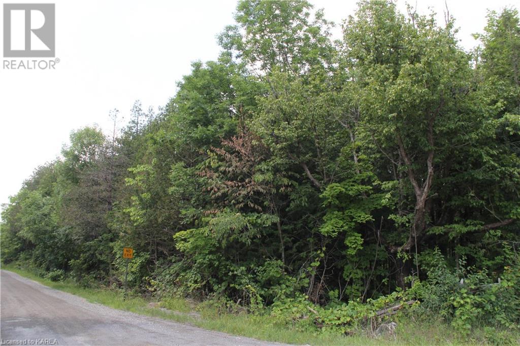 Listing 40373647 - Large Photo # 11