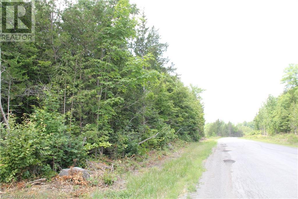 Listing 40373647 - Large Photo # 21