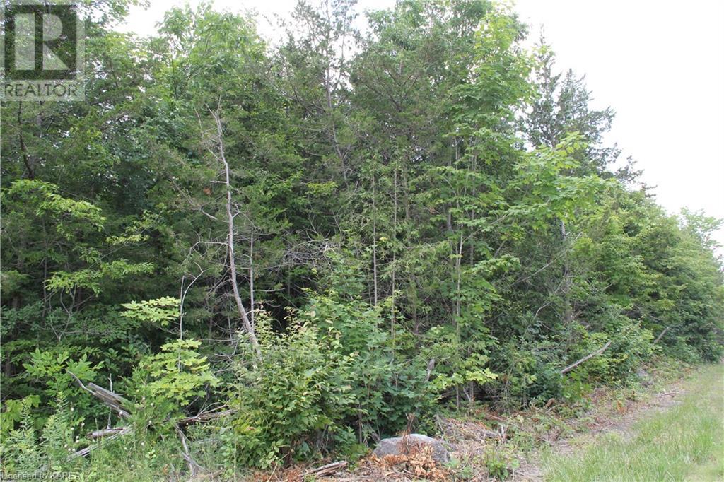 Listing 40373647 - Large Photo # 19