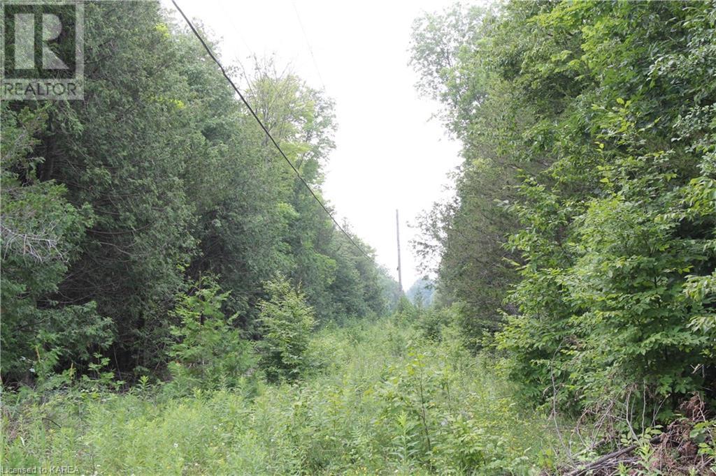 Listing 40373647 - Large Photo # 17