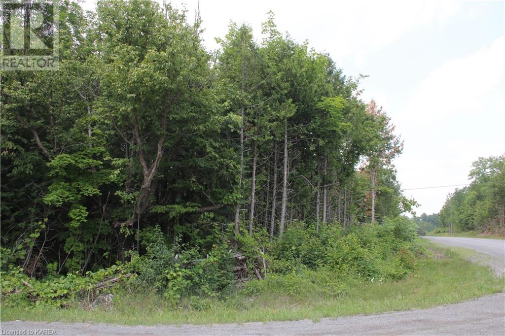 Listing 40373647 - Large Photo # 12