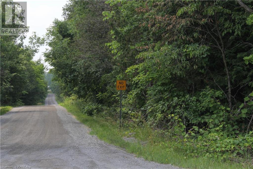 Listing 40373647 - Large Photo # 10