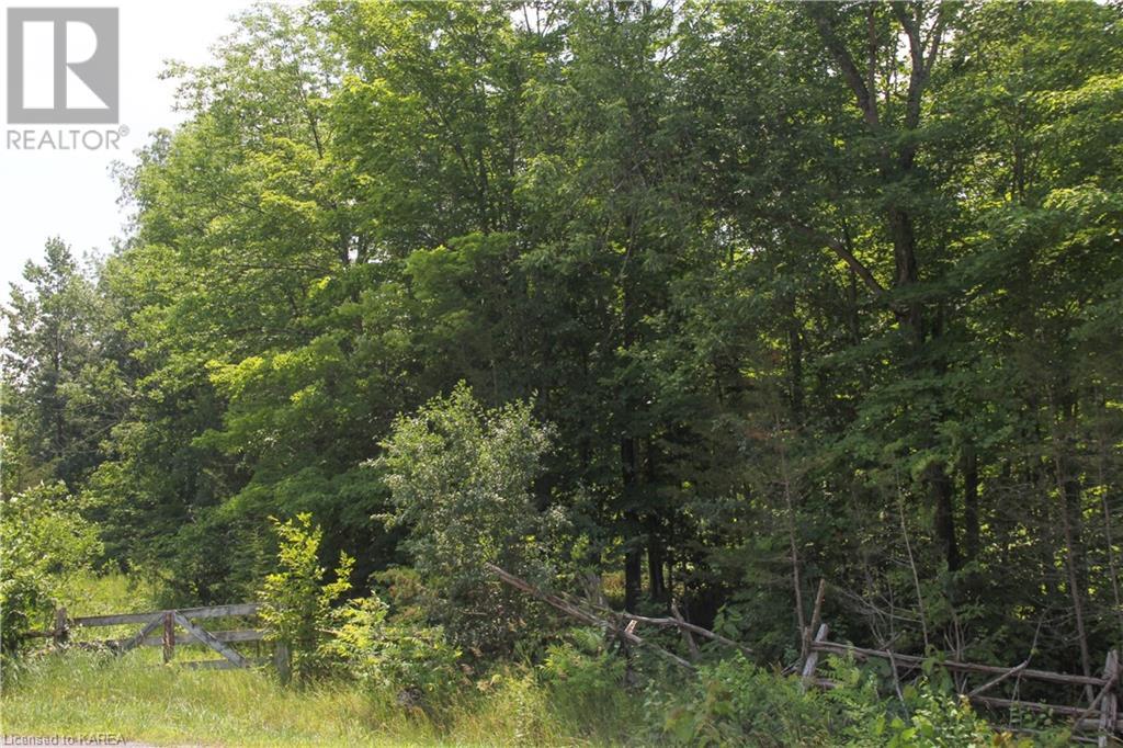 Listing 40373647 - Large Photo # 2