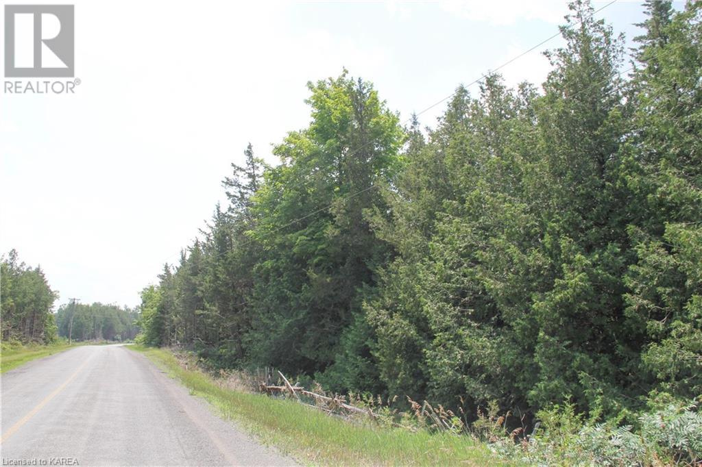 Listing 40373647 - Large Photo # 3