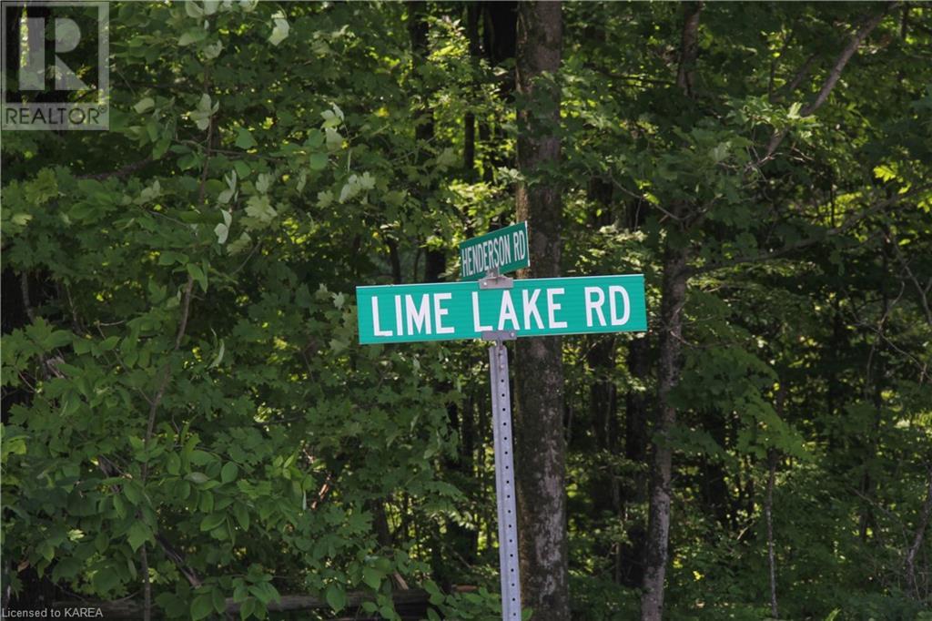 Listing 40373647 - Large Photo # 6