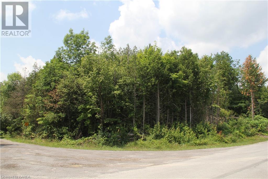 Listing 40373647 - Large Photo # 1