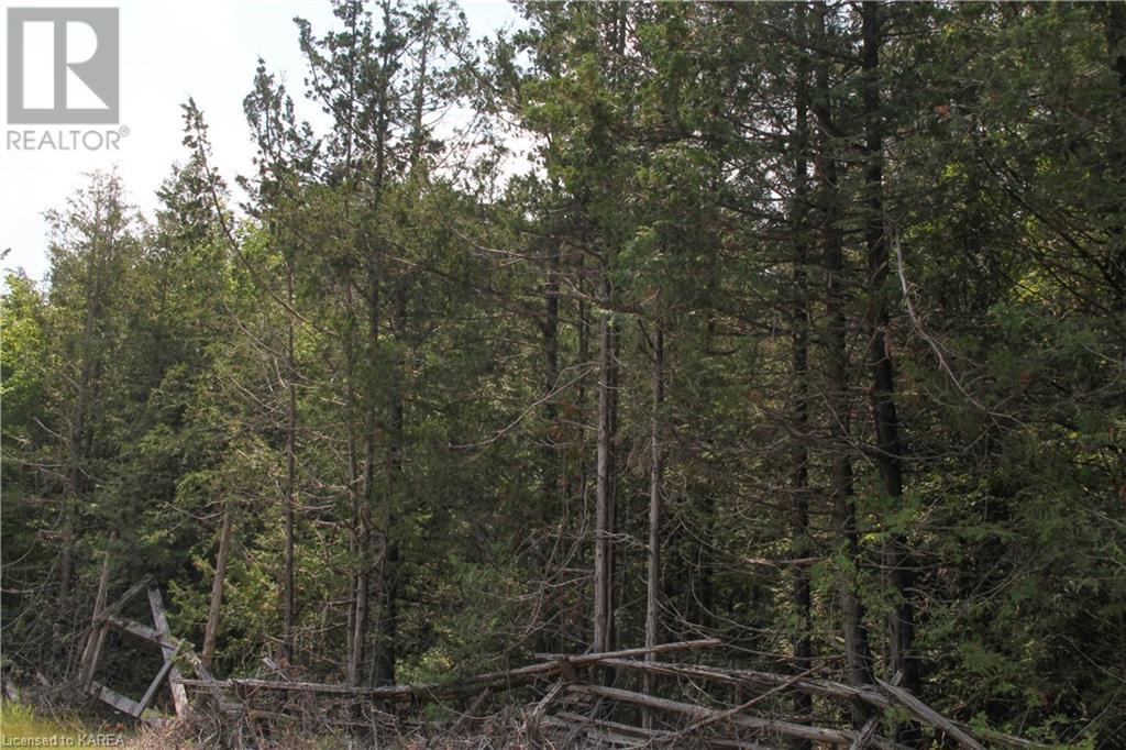 Listing 40373647 - Large Photo # 4