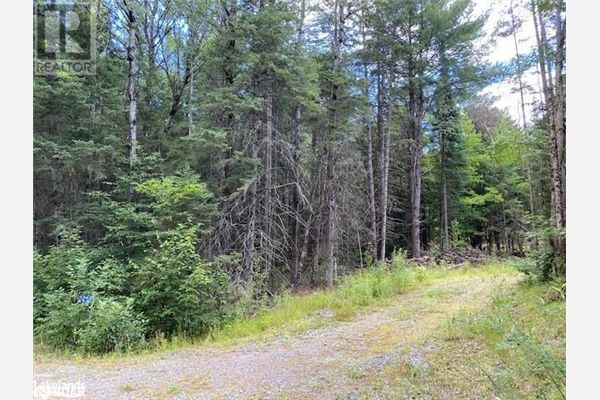 2259 LONE PINE Drive, Port Sydney