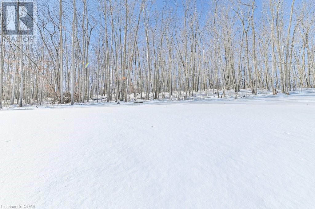 Listing 40374359 - Large Photo # 30