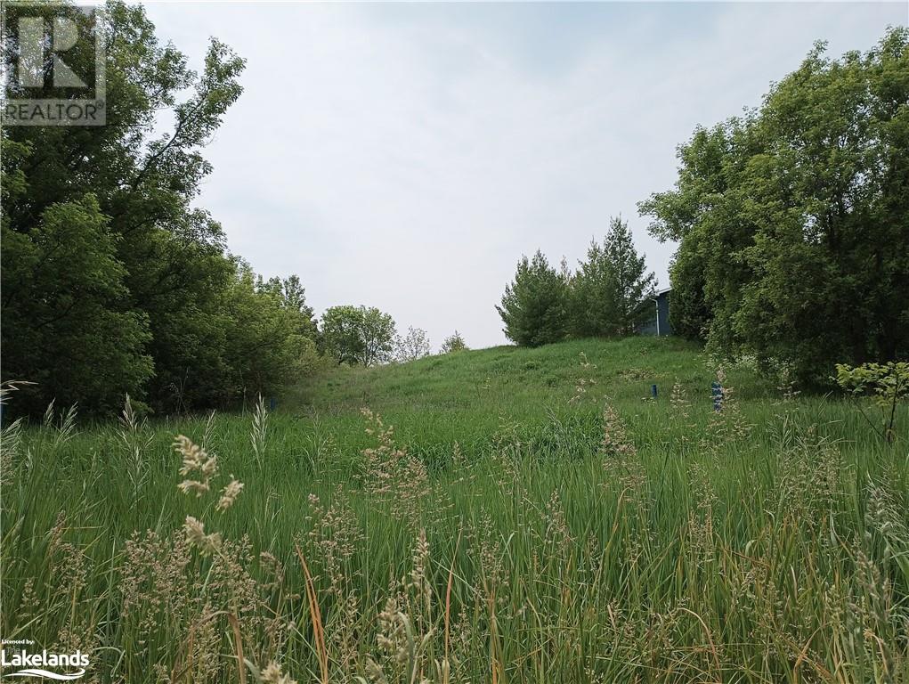 Listing 40374620 - Large Photo # 2