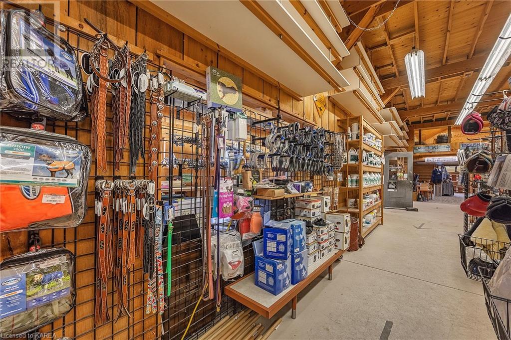 Listing 40374683 - Large Photo # 18