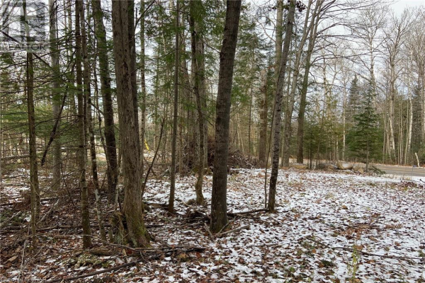 1755 SOUTH BAPTISTE LAKE Road, Bancroft
