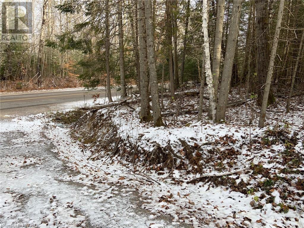 Listing 40375523 - Large Photo # 12
