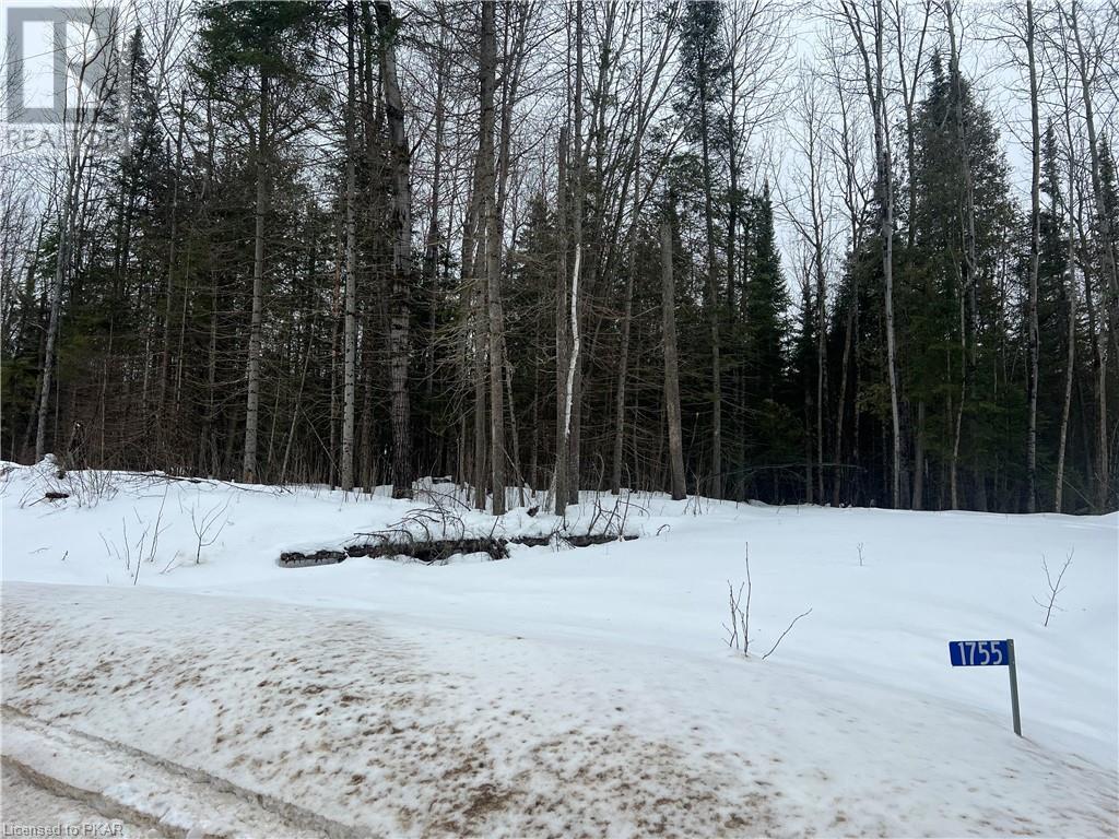 Listing 40375523 - Large Photo # 3