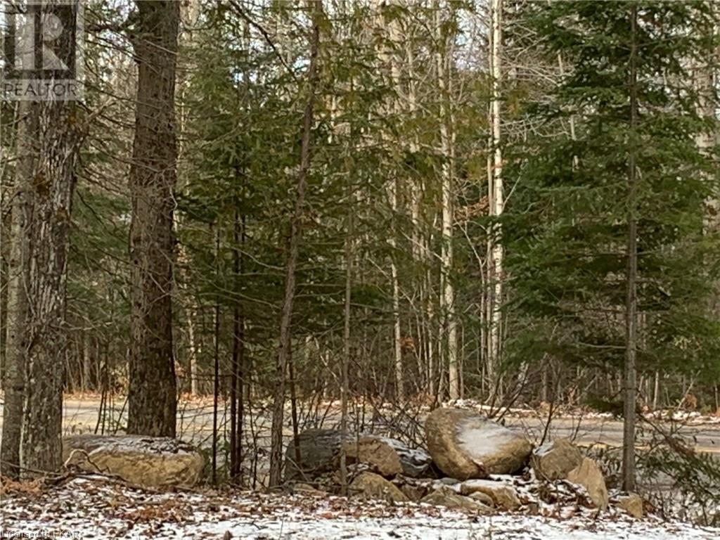 Listing 40375523 - Large Photo # 9