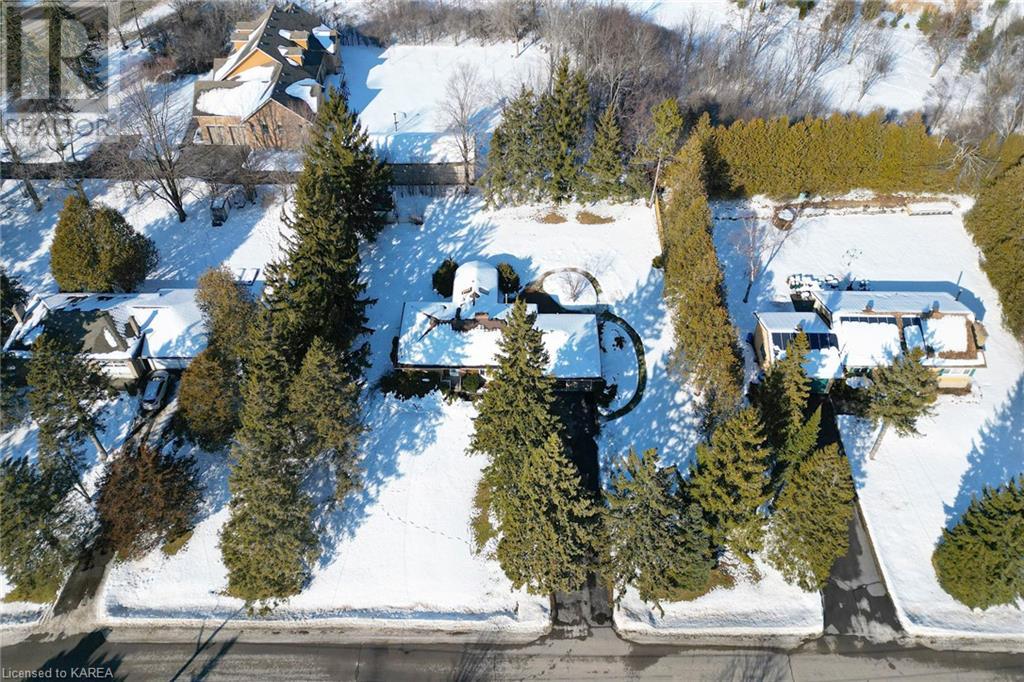 Listing 40375526 - Large Photo # 41