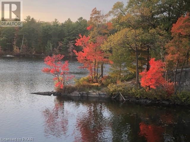 Listing 40376195 - Large Photo # 16
