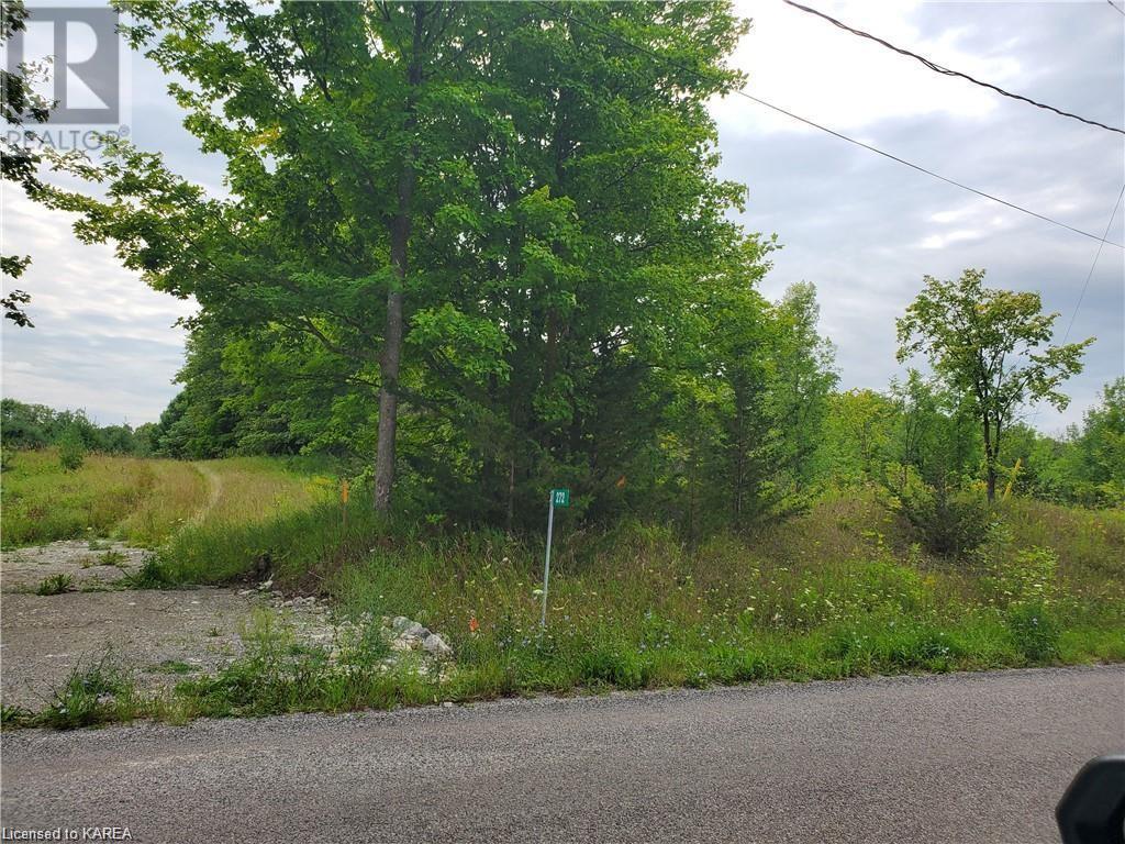 Listing 40376310 - Large Photo # 2