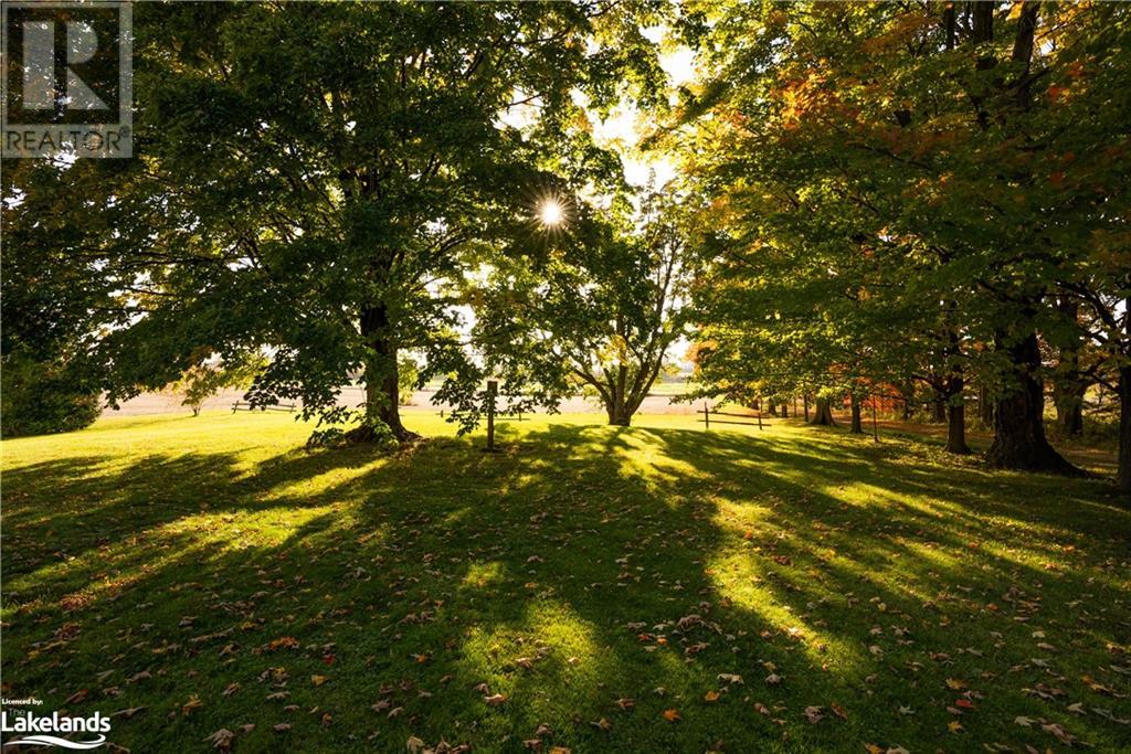 Listing 40376758 - Large Photo # 18