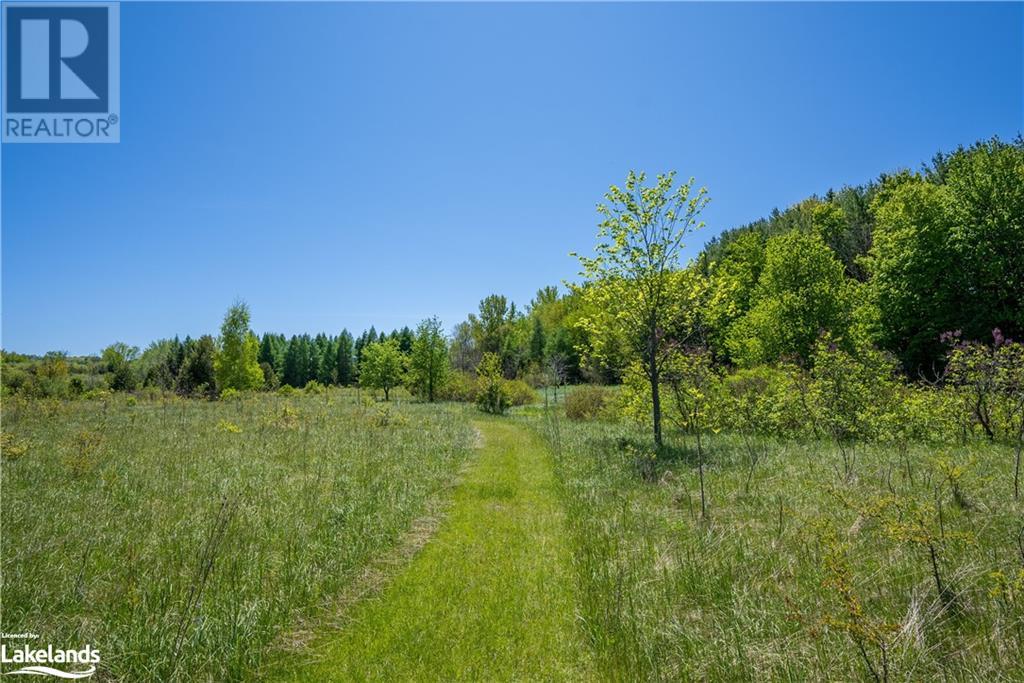Listing 40376758 - Large Photo # 12