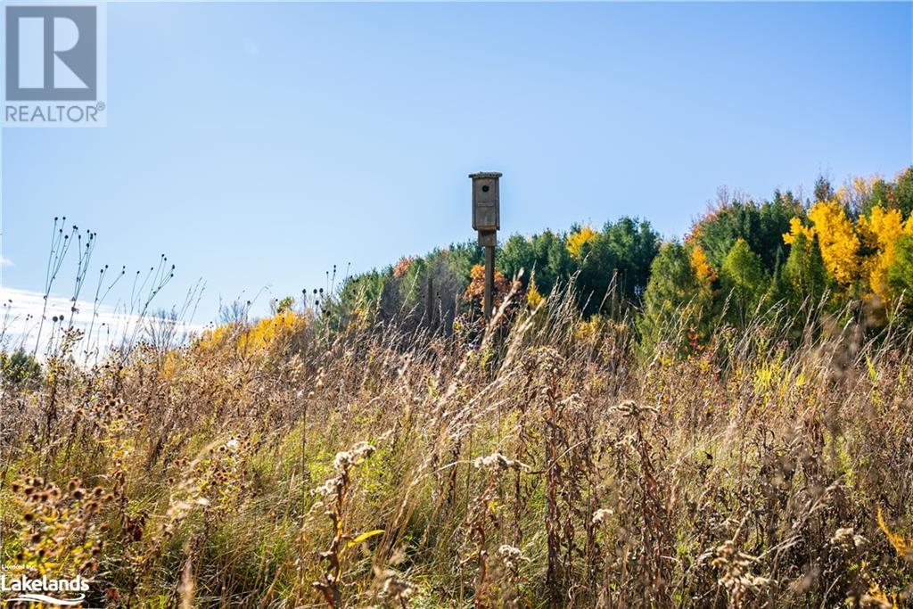 Listing 40376758 - Large Photo # 37