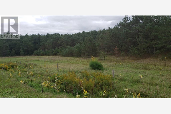 0 COUNTY ROAD 45 Road, Roseneath
