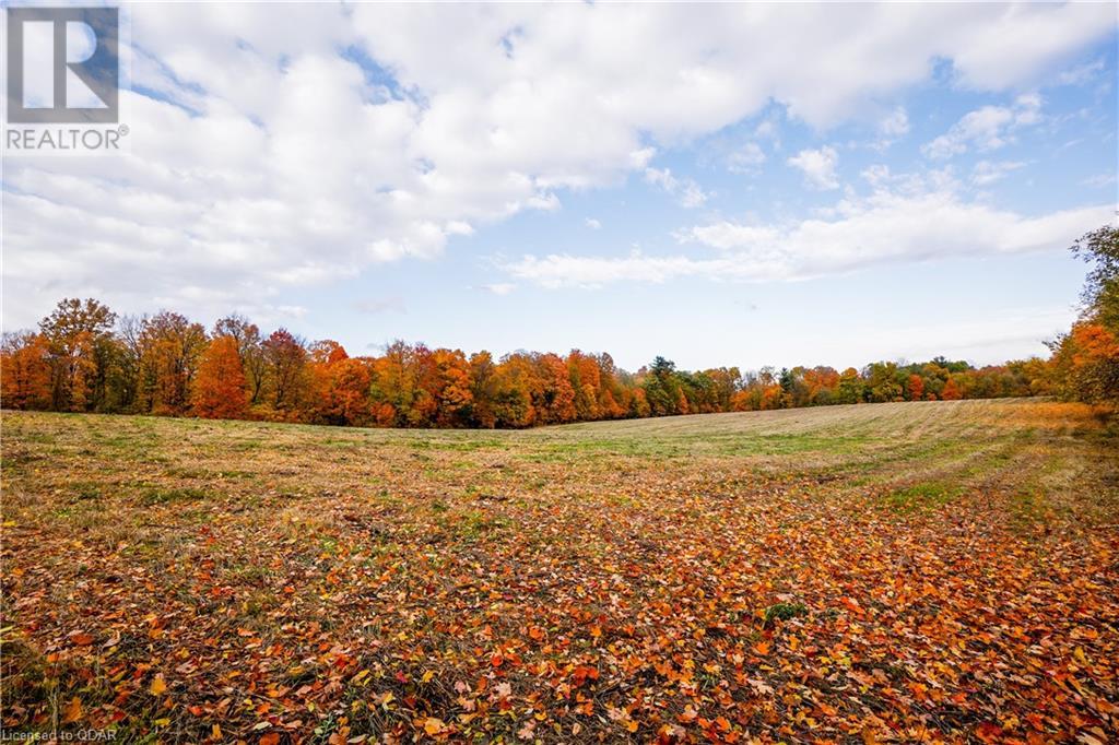 Listing 40377254 - Large Photo # 8