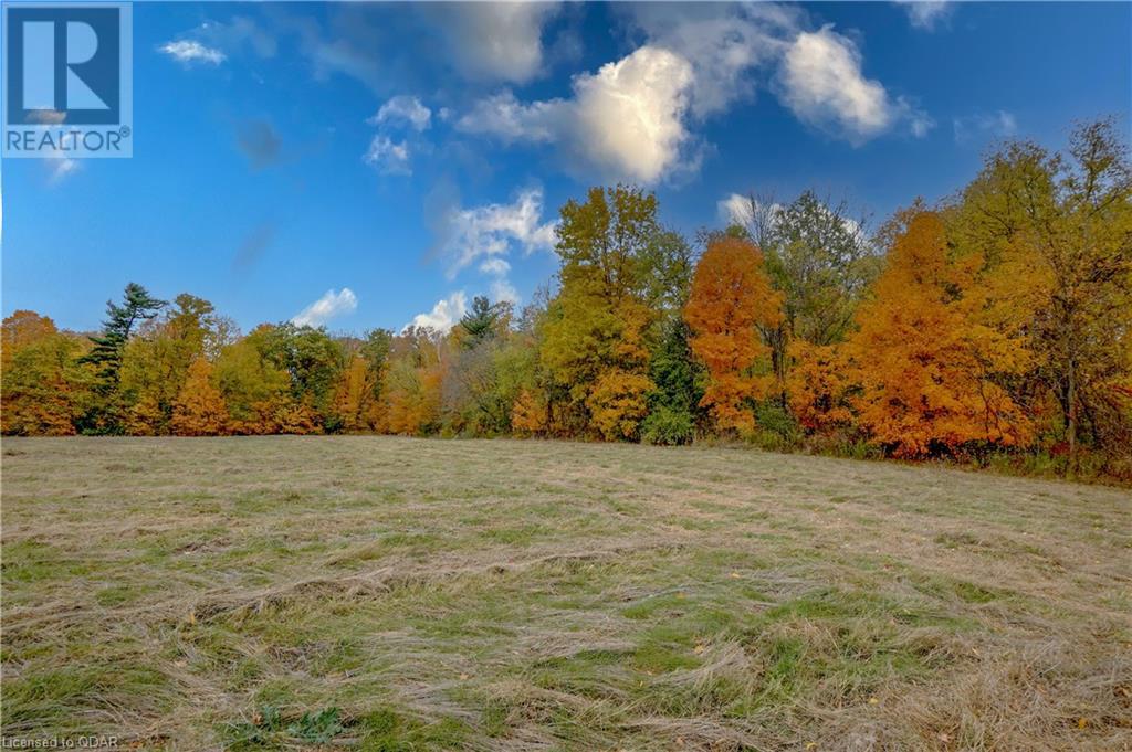 Listing 40377254 - Large Photo # 11