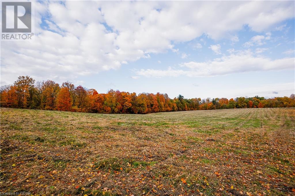 Listing 40377254 - Large Photo # 14