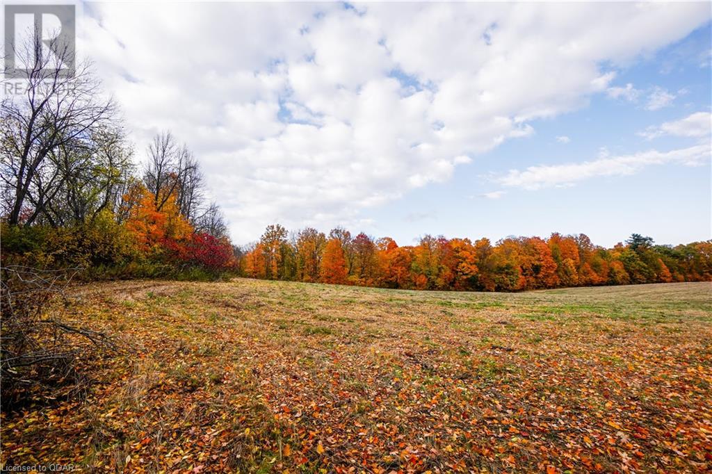 Listing 40377254 - Large Photo # 9