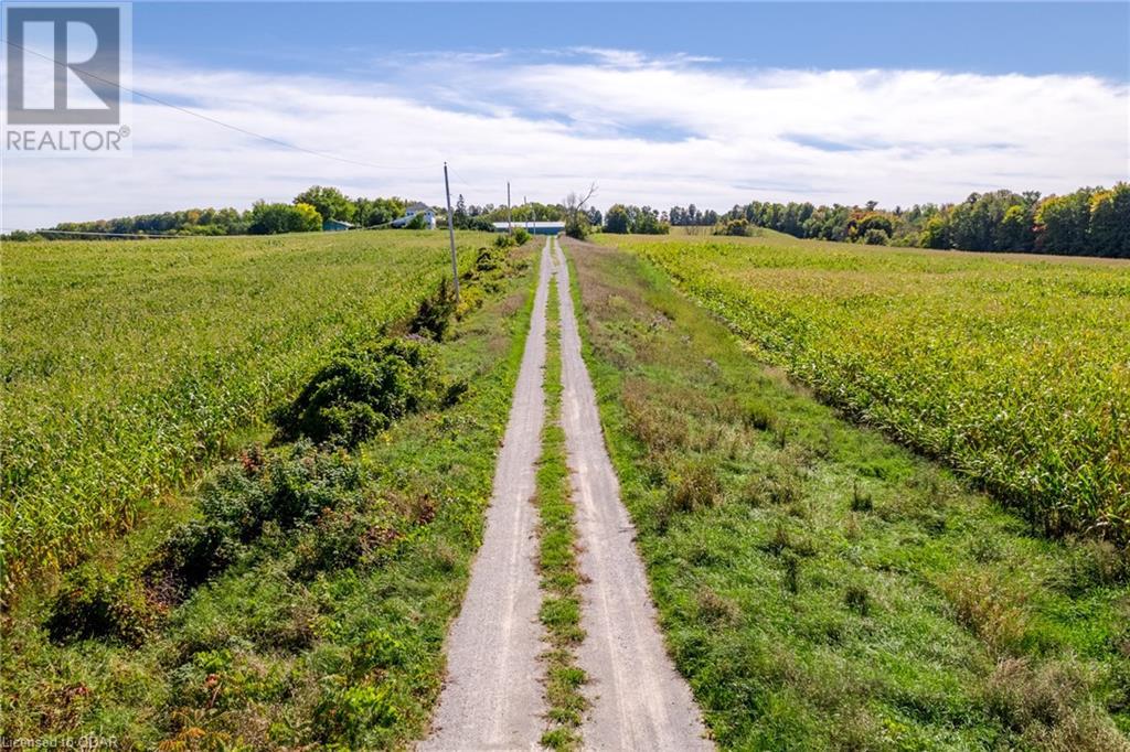 Listing 40378152 - Large Photo # 38
