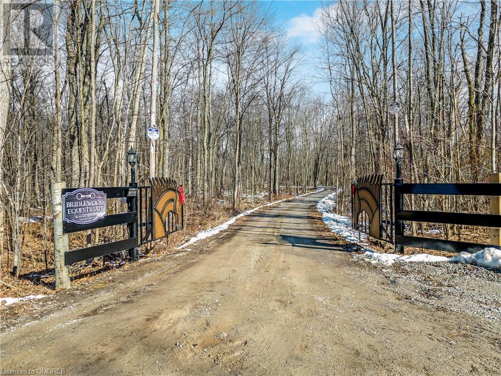 Listing 40378217 - Large Photo # 44