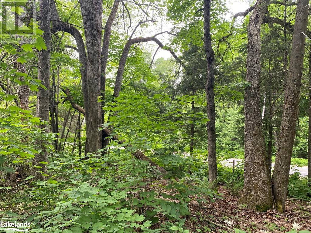 Listing 40378791 - Large Photo # 34