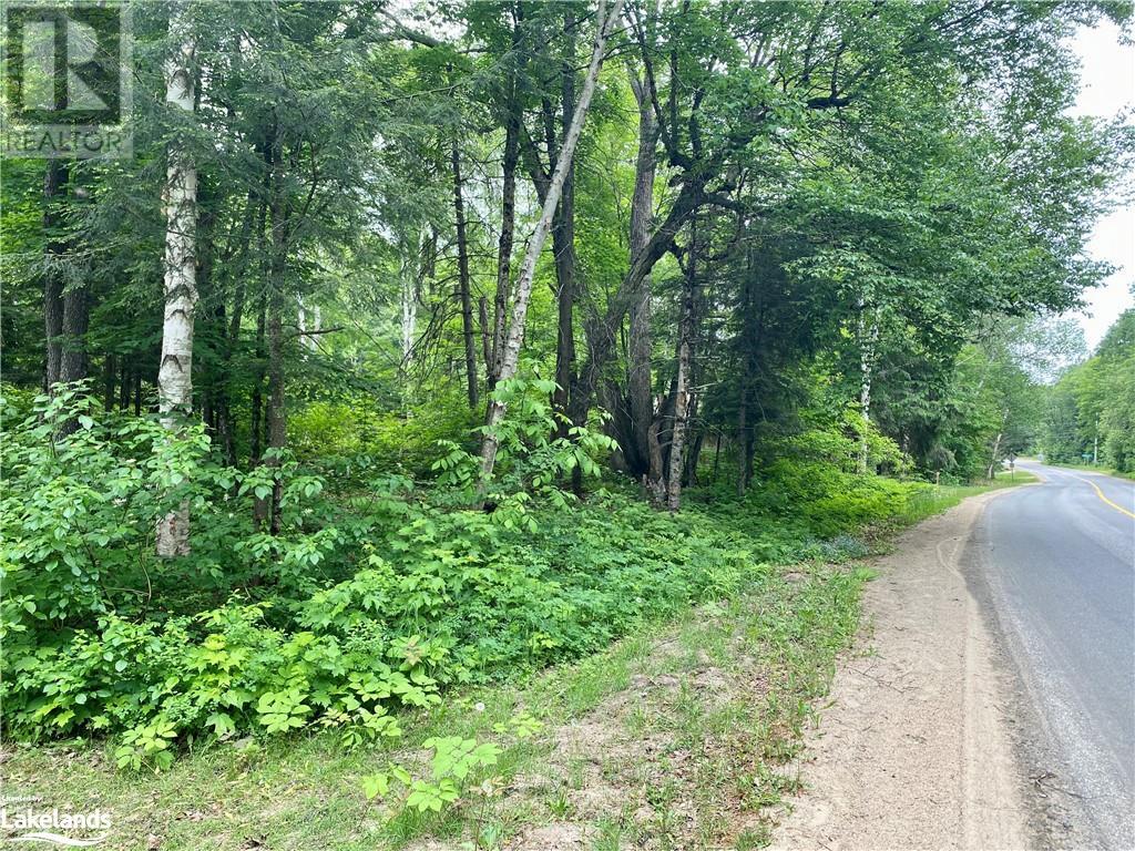 Listing 40378791 - Large Photo # 33