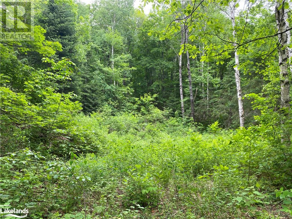 Listing 40378791 - Large Photo # 35