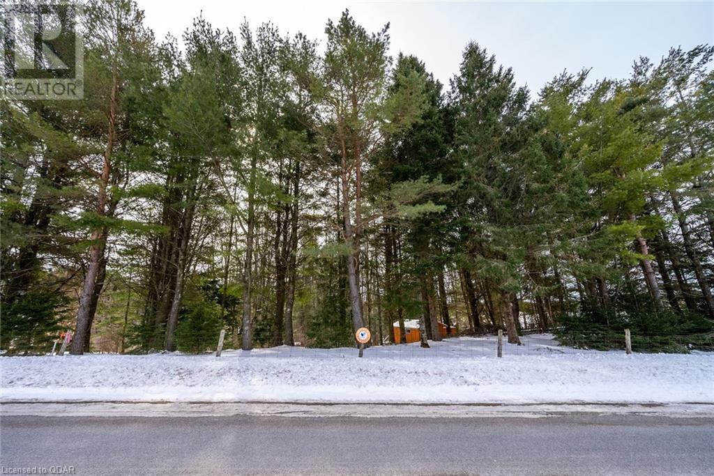 Listing 40381167 - Large Photo # 8