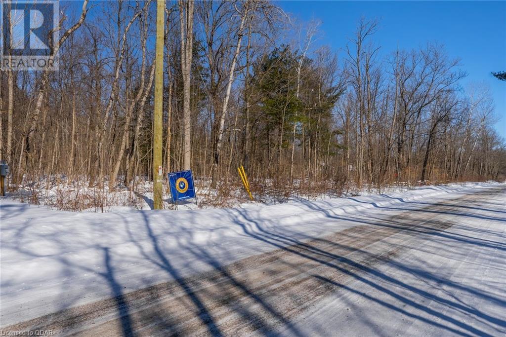Listing 40381202 - Large Photo # 5