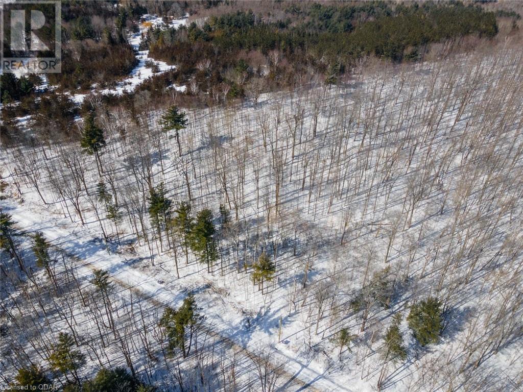Listing 40381202 - Large Photo # 7