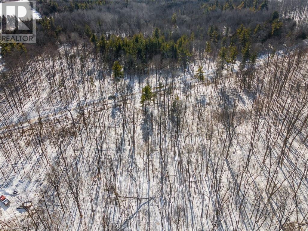 Listing 40381202 - Large Photo # 13