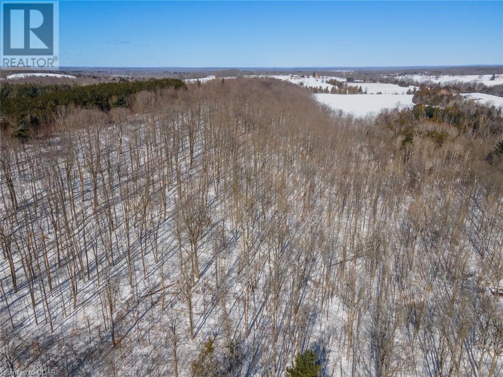 Listing 40381202 - Large Photo # 10