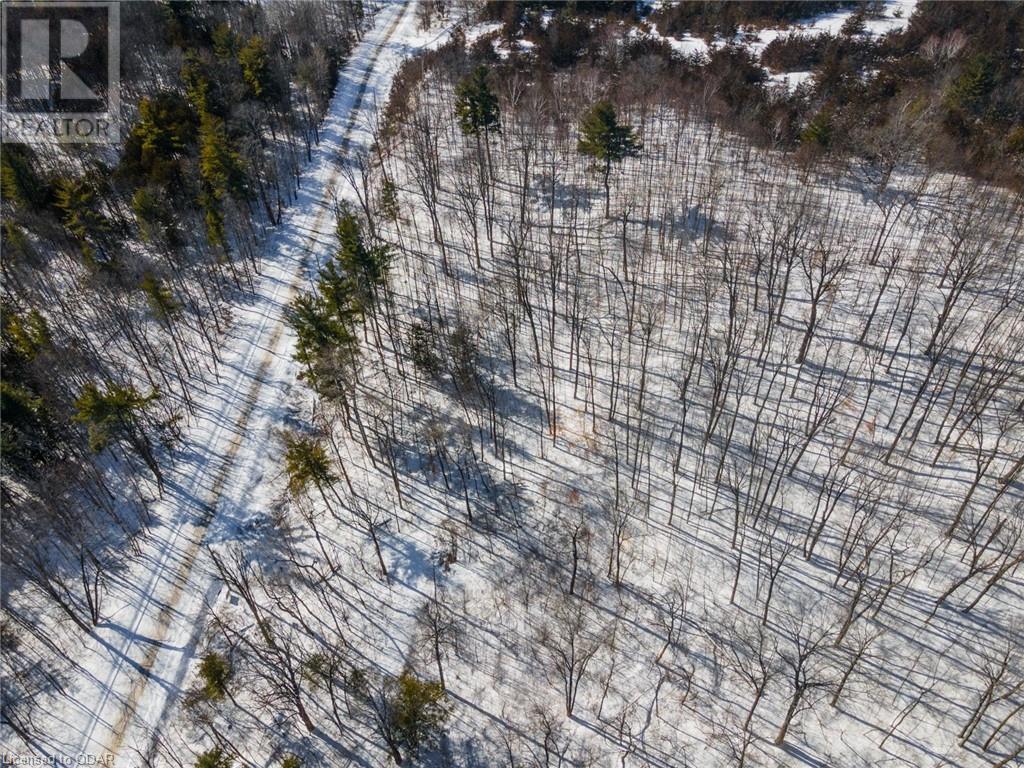 Listing 40381202 - Large Photo # 20