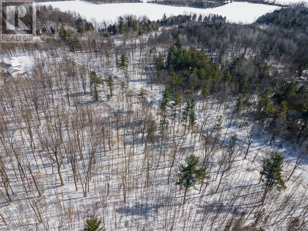 Listing 40381202 - Large Photo # 11