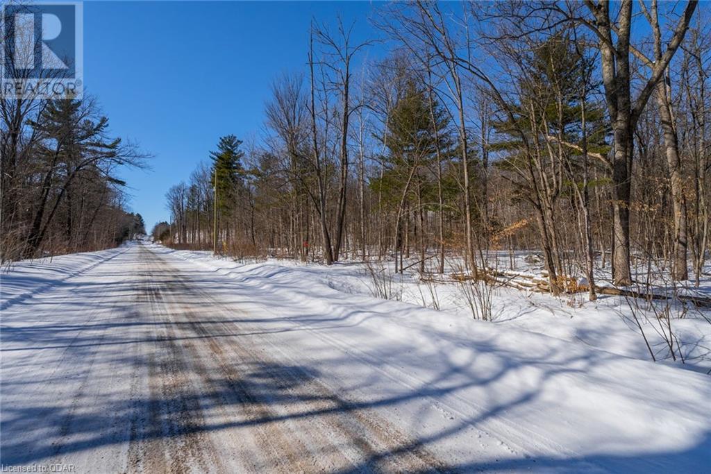 Listing 40381202 - Large Photo # 8
