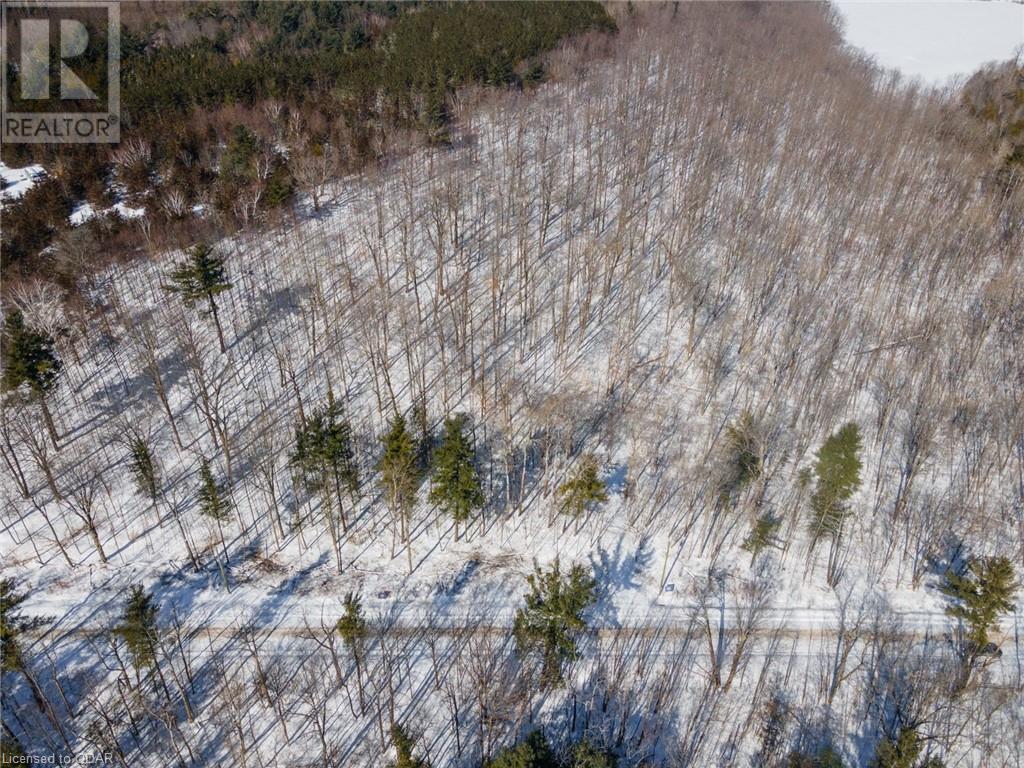 Listing 40381202 - Large Photo # 30
