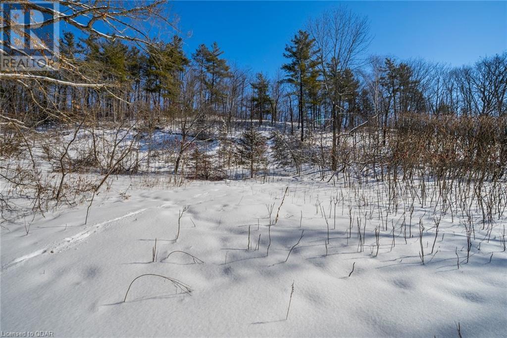Listing 40381204 - Large Photo # 11