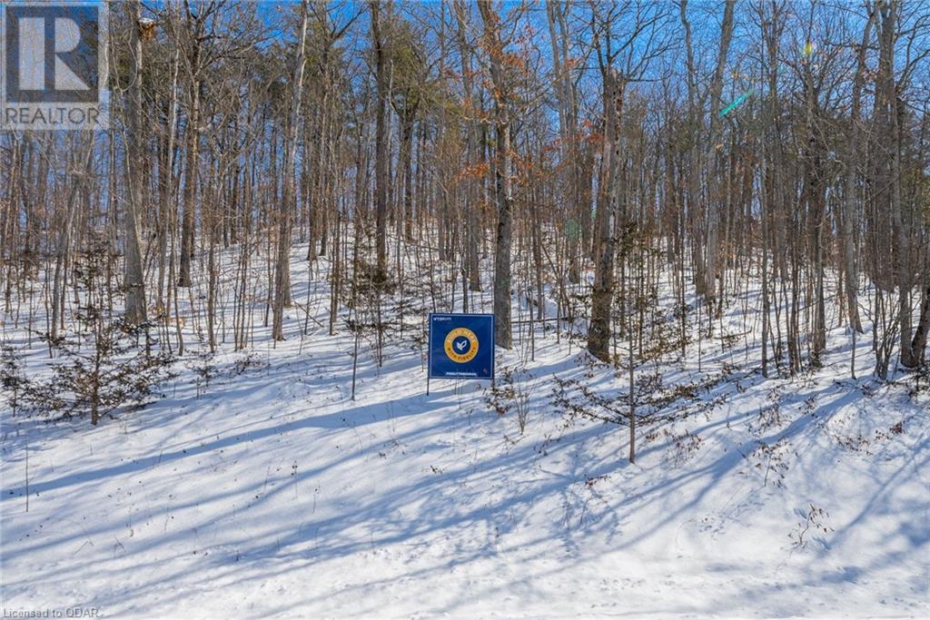 Listing 40381204 - Large Photo # 4