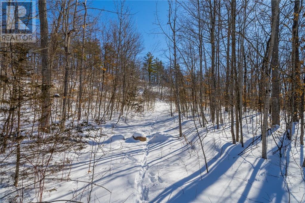 Listing 40381204 - Large Photo # 23